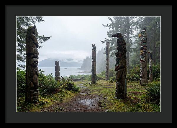 Totem Bight Forest Vista
