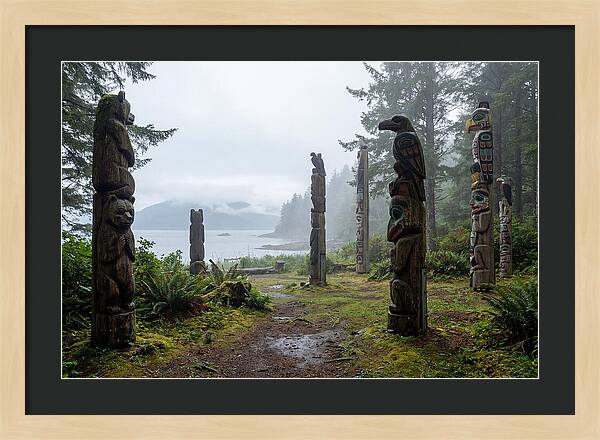 Totem Bight Forest Vista