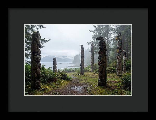 Totem Bight Forest Vista