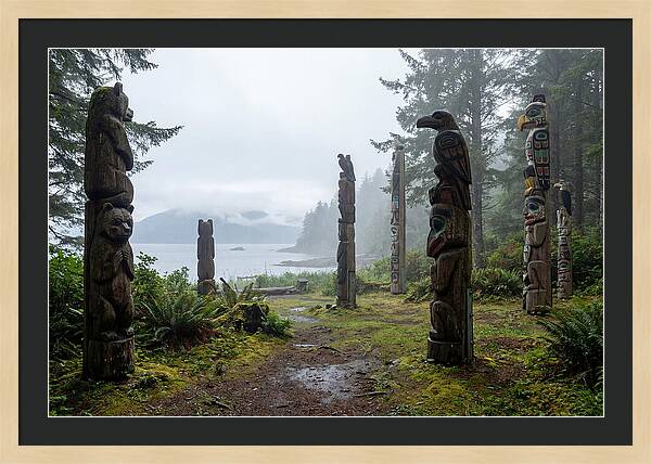 Totem Bight Forest Vista