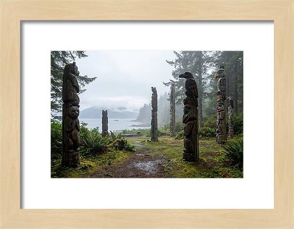 Totem Bight Forest Vista