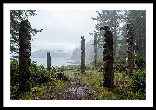 Totem Bight Forest Vista