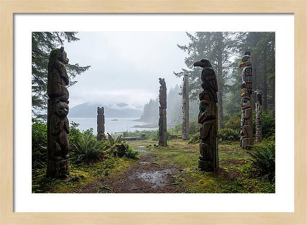 Totem Bight Forest Vista