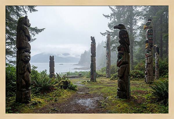 Totem Bight Forest Vista