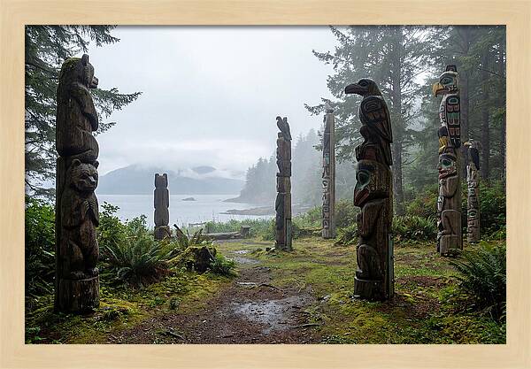 Totem Bight Forest Vista