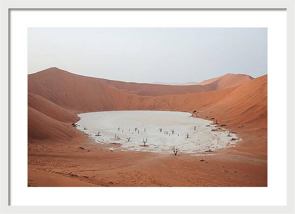 Towering Dunes Of Sossusvlei