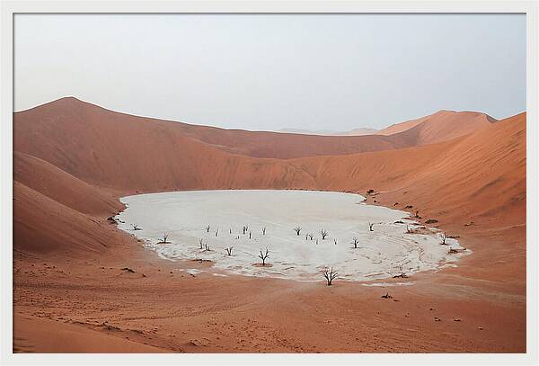 Towering Dunes Of Sossusvlei