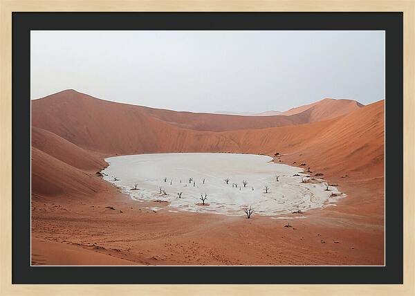 Towering Dunes Of Sossusvlei