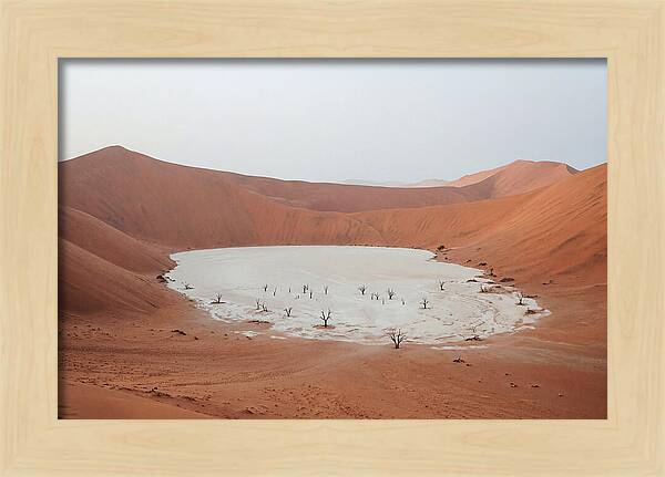 Towering Dunes Of Sossusvlei