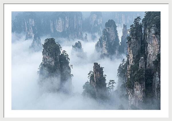 Towering Quartzite Pillars In Zhangjiajie