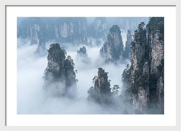 Towering Quartzite Pillars In Zhangjiajie
