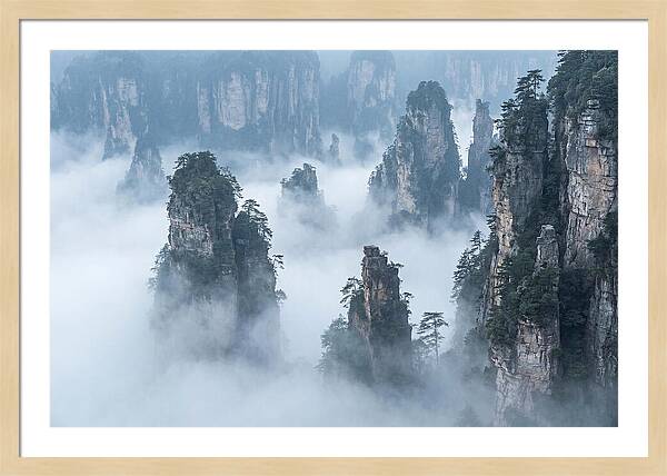 Towering Quartzite Pillars In Zhangjiajie