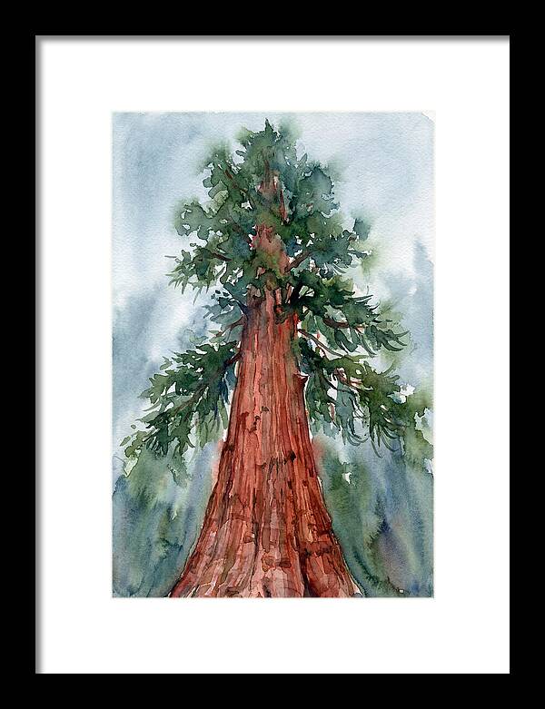 Towering Redwood Splendor