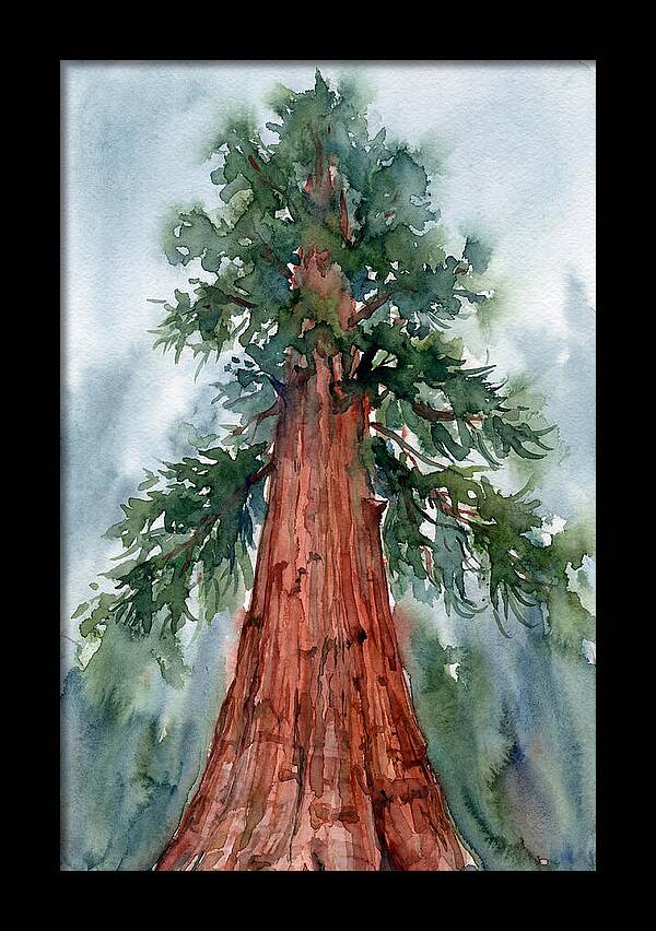 Towering Redwood Splendor