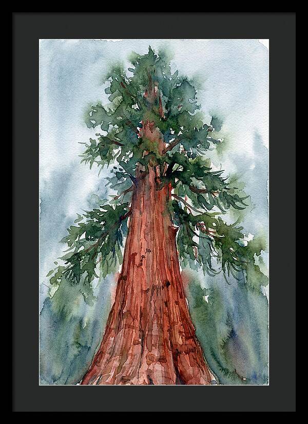 Towering Redwood Splendor