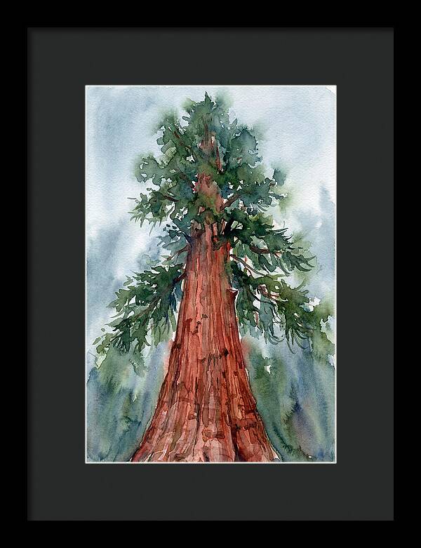 Towering Redwood Splendor