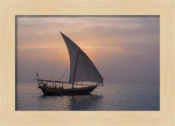 Traditional Dhow Sailing At Sunset