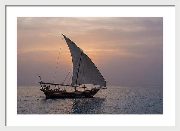 Traditional Dhow Sailing At Sunset