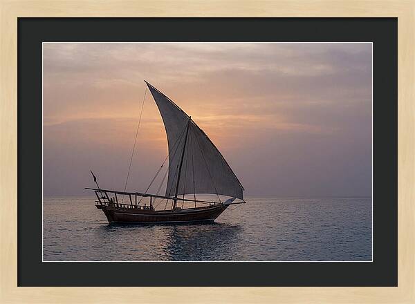Traditional Dhow Sailing At Sunset