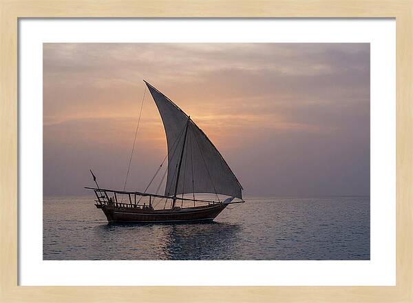 Traditional Dhow Sailing At Sunset
