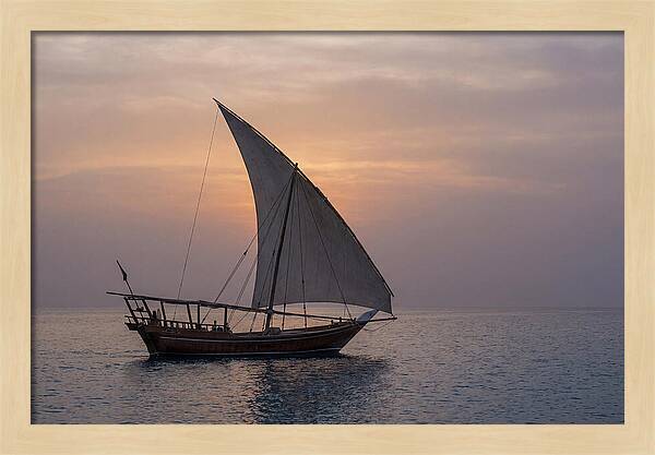 Traditional Dhow Sailing At Sunset
