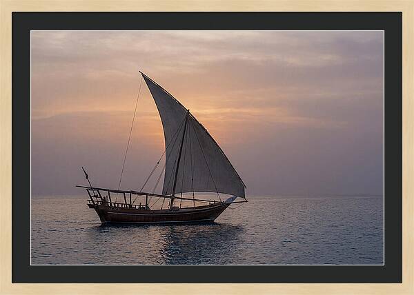 Traditional Dhow Sailing At Sunset