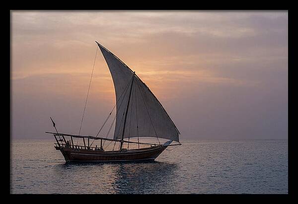 Traditional Dhow Sailing At Sunset