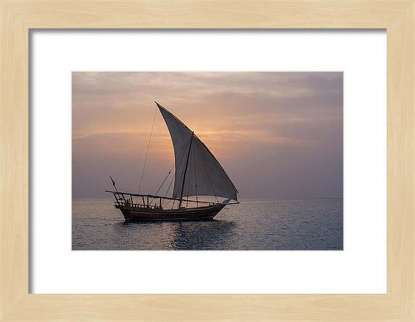 Traditional Dhow Sailing At Sunset