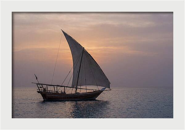 Traditional Dhow Sailing At Sunset