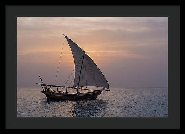 Traditional Dhow Sailing At Sunset