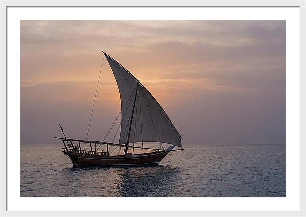 Traditional Dhow Sailing At Sunset
