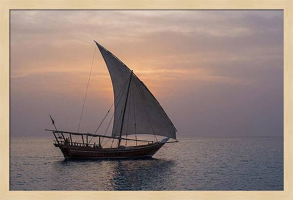 Traditional Dhow Sailing At Sunset