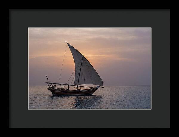 Traditional Dhow Sailing At Sunset
