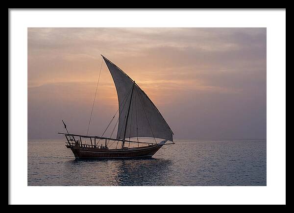 Traditional Dhow Sailing At Sunset