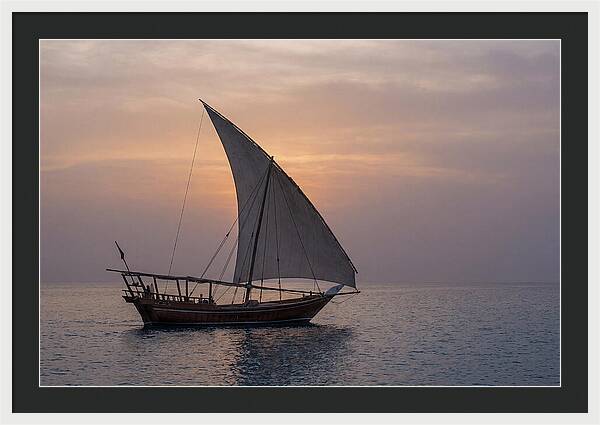 Traditional Dhow Sailing At Sunset