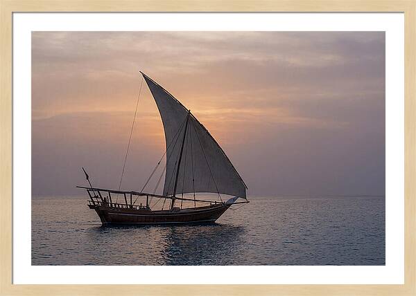 Traditional Dhow Sailing At Sunset