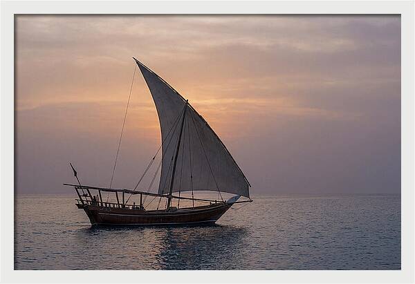 Traditional Dhow Sailing At Sunset
