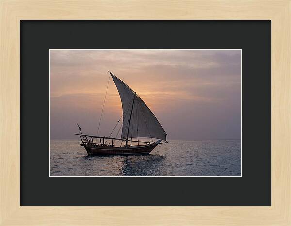 Traditional Dhow Sailing At Sunset
