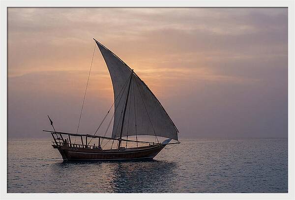 Traditional Dhow Sailing At Sunset
