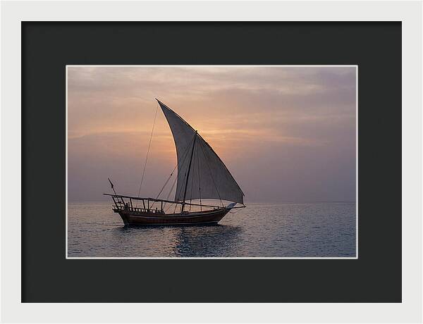 Traditional Dhow Sailing At Sunset