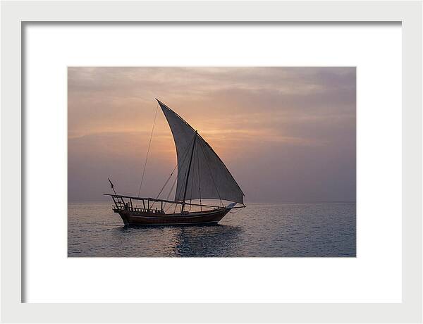 Traditional Dhow Sailing At Sunset