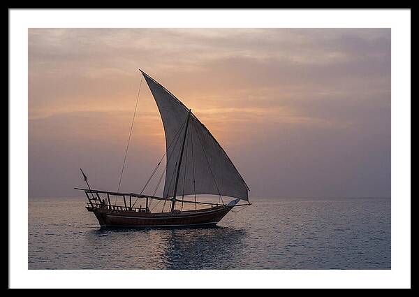Traditional Dhow Sailing At Sunset