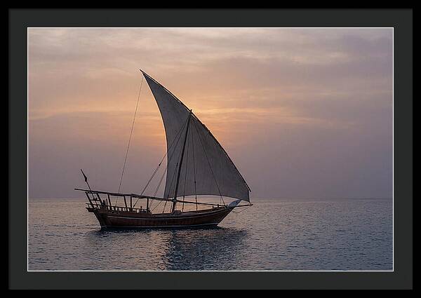 Traditional Dhow Sailing At Sunset