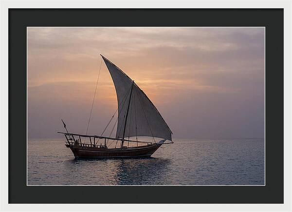 Traditional Dhow Sailing At Sunset