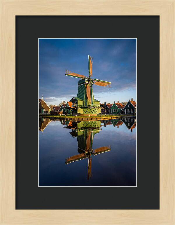 Traditional Dutch Windmill Reflection