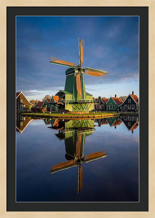 Traditional Dutch Windmill Reflection
