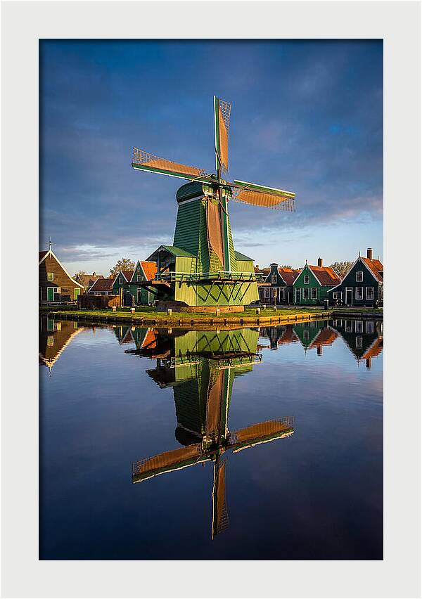 Traditional Dutch Windmill Reflection