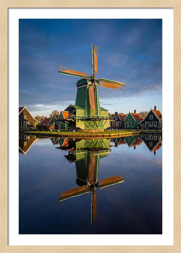 Traditional Dutch Windmill Reflection