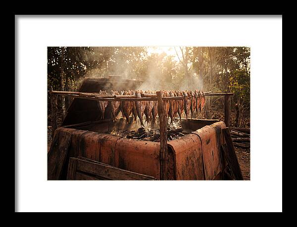 Traditional Fish Smoking Kiln
