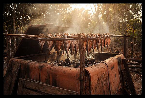 Traditional Fish Smoking Kiln